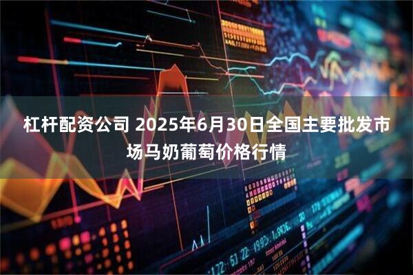 杠杆配资公司 2025年6月30日全国主要批发市场马奶葡萄价格行情
