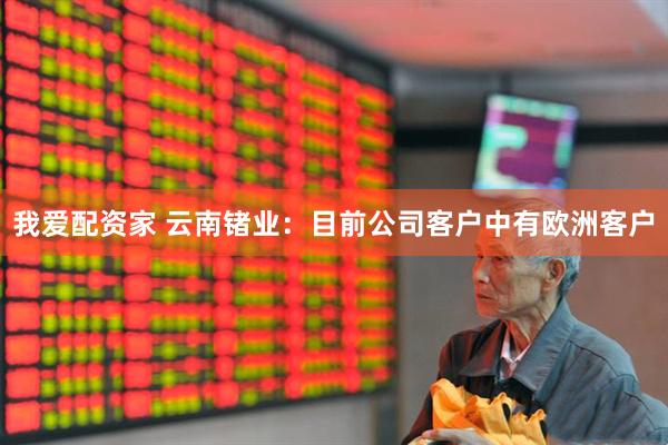 我爱配资家 云南锗业：目前公司客户中有欧洲客户
