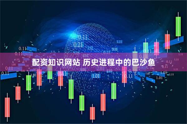 配资知识网站 历史进程中的巴沙鱼